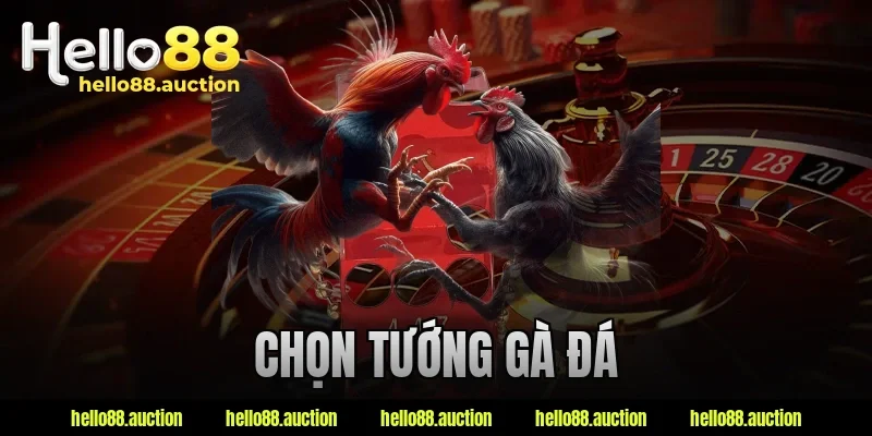 Chọn Tướng Gà Đá – Dấu Hiệu Nhận Biết Gà Chiến Chuẩn