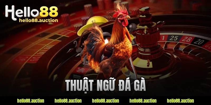 Thuật Ngữ Đá Gà: Hiểu Đúng Để Không Bị “Ngơ Ngác” Khi Xem