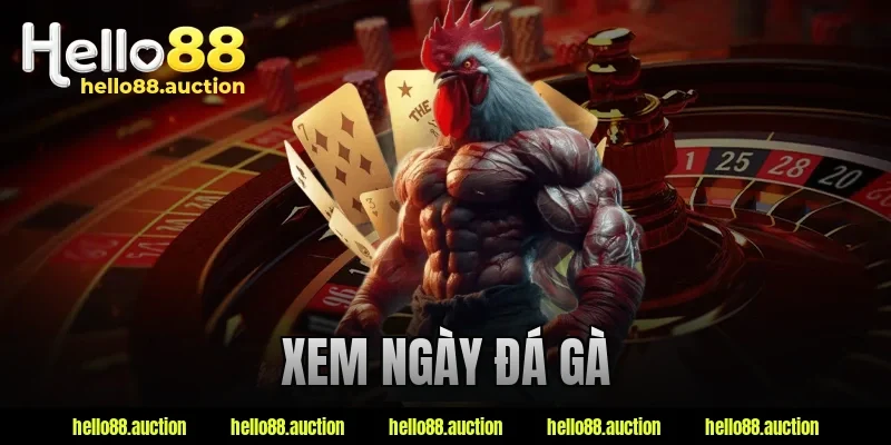 Xem Ngày Đá Gà – Cách Chọn Ngày Được Kê Thủ Quan Tâm